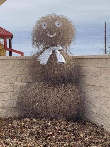 131621156_5147430308608205_554510738983077420_n