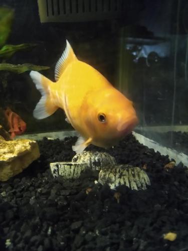 05:22:56 GMT-0600 (CST)