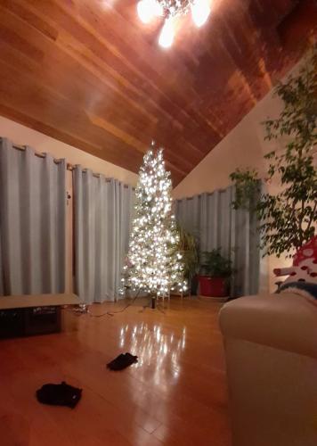 2020-12-04_175855 Getting Started sm