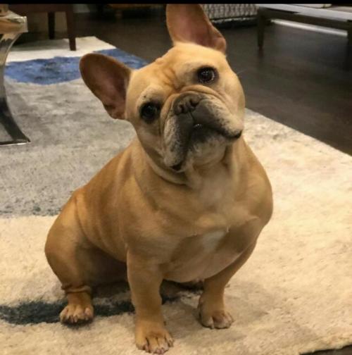 20:53:59 GMT+0100 (WAT)