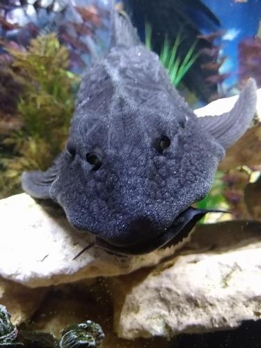 05:21:57 GMT-0600 (CST)