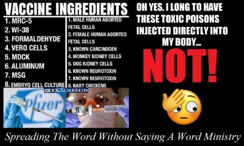 130569950_142151394331237_4546879610478594386_n