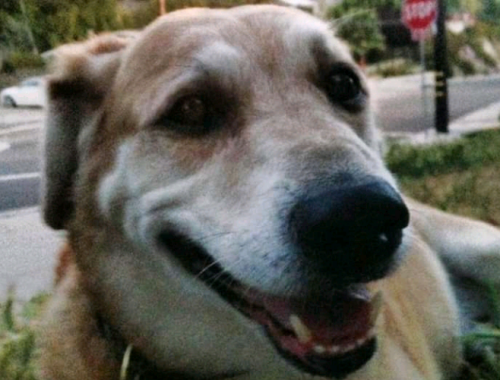 08:09:16 GMT+0100 (WAT).png