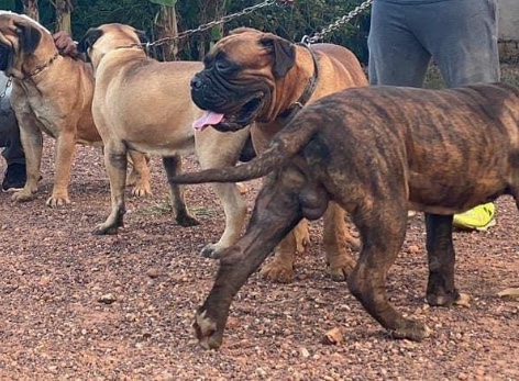 12:03:38 GMT+0100 (WAT).image