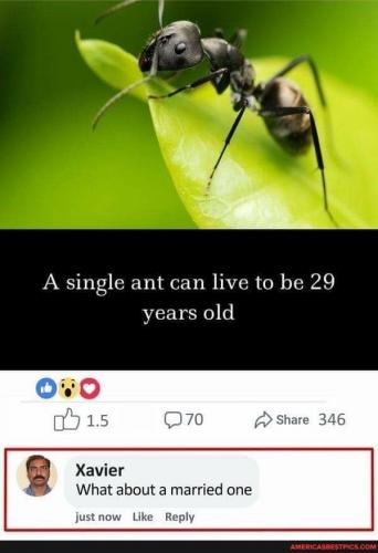 23:06:58 GMT-0600 (CST).image