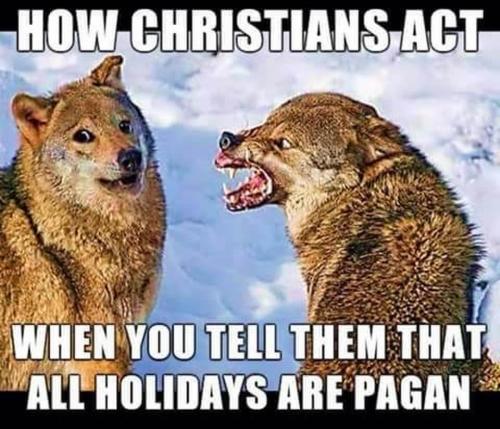 81942982_574710526697357_1185945435131346944_n