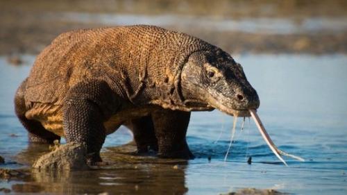 tumblr_a6874df063f440c51caee69911582f75_61dc4757_540