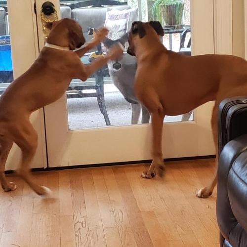 00:28:05 GMT-0600 (CST)