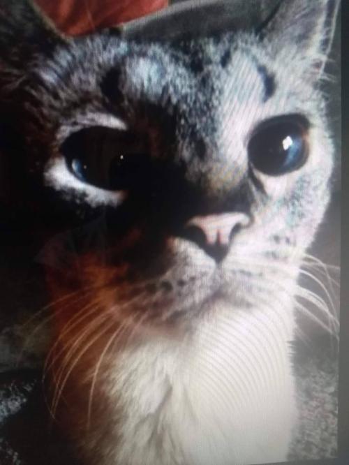 FB_IMG_1598293483631