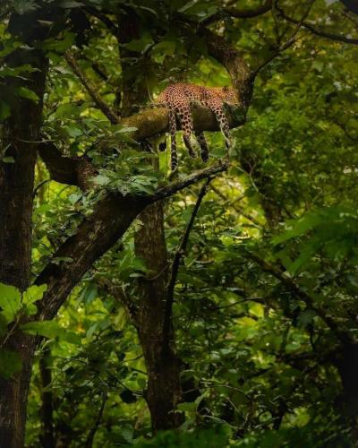 129188644_1117719342001246_2083740664791129231_o