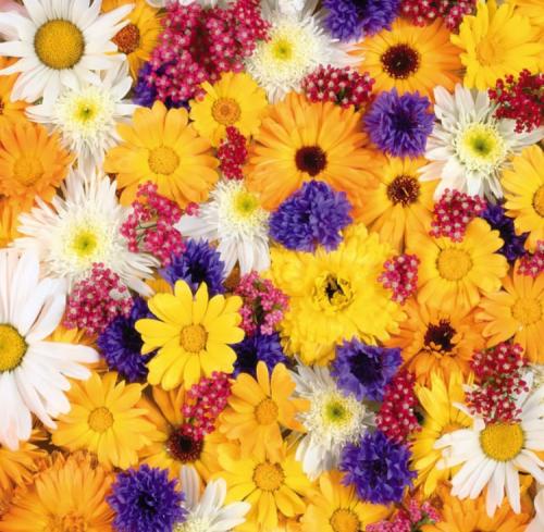 15:19:29 GMT+0100 (WAT).image