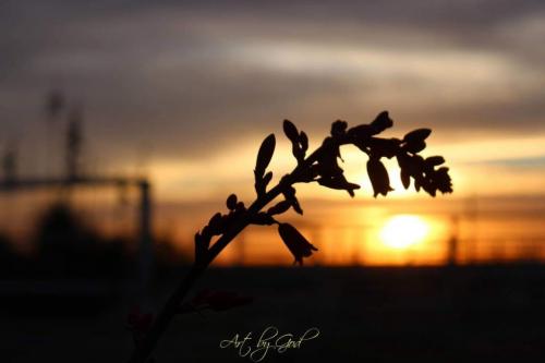 08:54:52 GMT-0700 (MST)