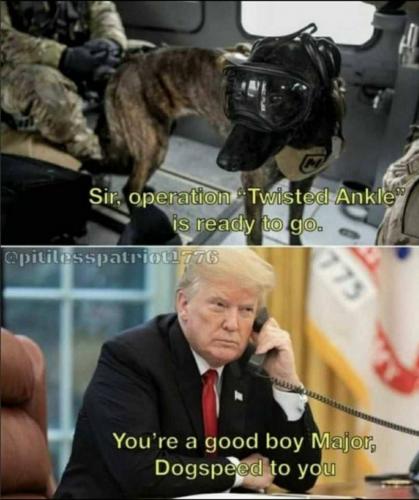 11:46:36 GMT-0800 (PST).image