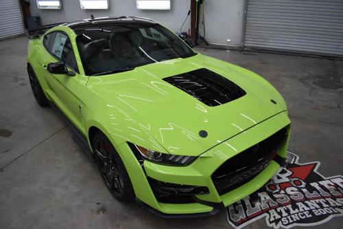 128808158_1445197639024227_797328018750572337_n