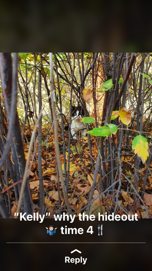 4C41A6F1-1671-4C57-A585-9963D15DF80B