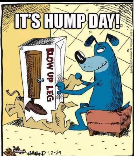 130939040_120595423203772_4143878836676225412_o