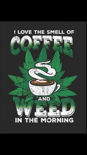 06:39:36 GMT-0600 (CST)