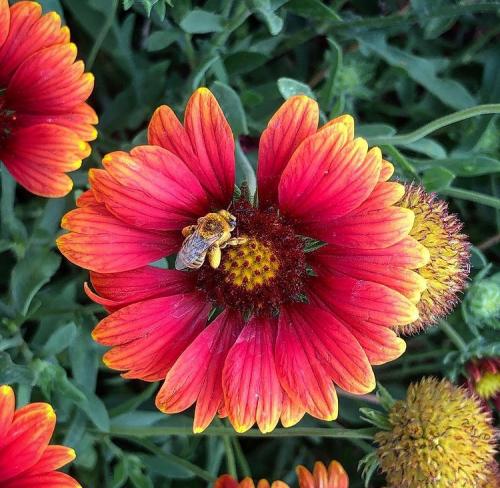 00:57:18 GMT+0100 (WAT).image