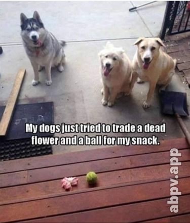 03:07:56 GMT-0600 (CST).image