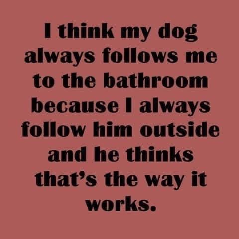 13:29:21 GMT-0800 (PST).image