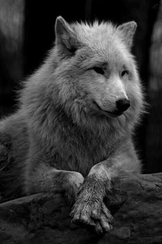 18:35:54 GMT-0600 (CST)