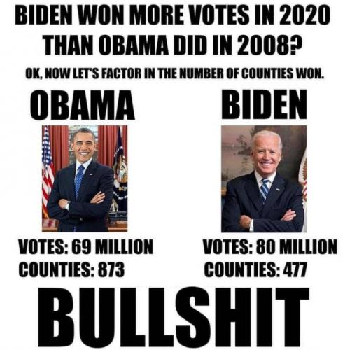 voterfraud100