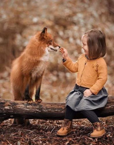 04:19:14 GMT-0600 (CST)