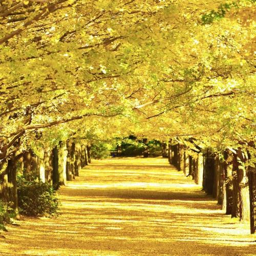 00:12:54 GMT+0100 (WAT)