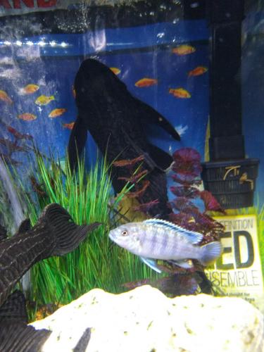 05:25:57 GMT-0600 (CST)