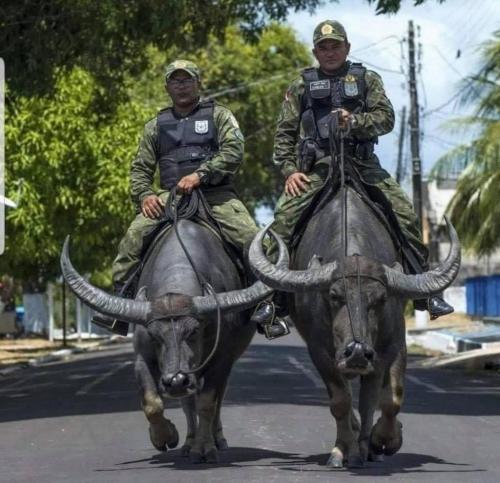 20:49:03 GMT-0700 (MST)