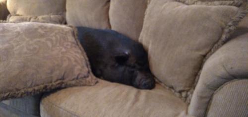 17:40:18 GMT-0500 (EST)