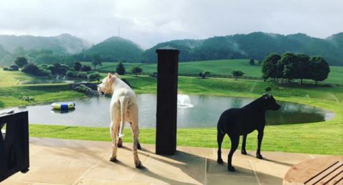 14:30:45 GMT+0100 (WAT).image