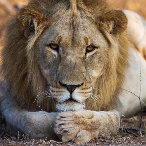 129312562_666469404030620_8402009749773422267_n