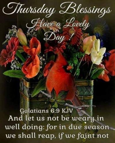 23:07:31 GMT-0600 (CST)