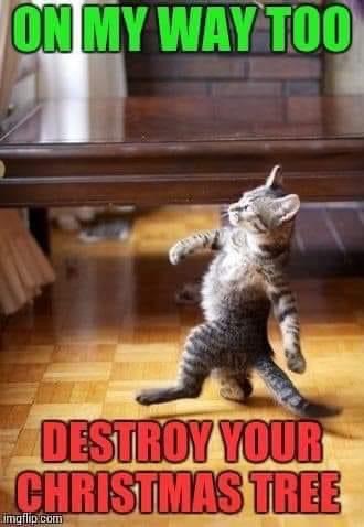 01:59:29 GMT-0800 (PST).image