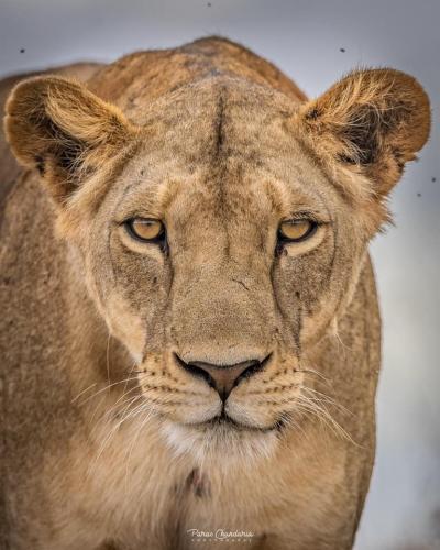 131333152_214656083549519_5610276009381820000_n