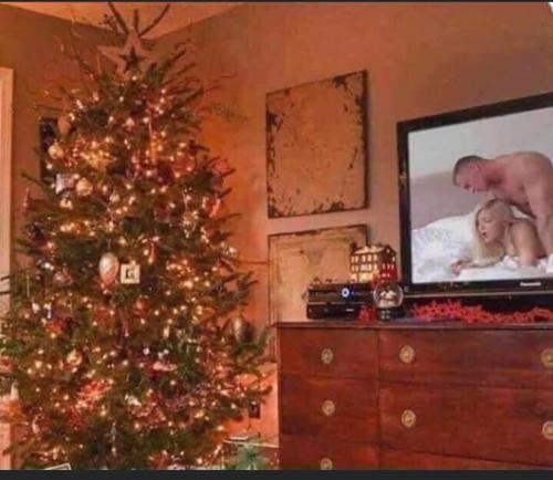 Got my tree up