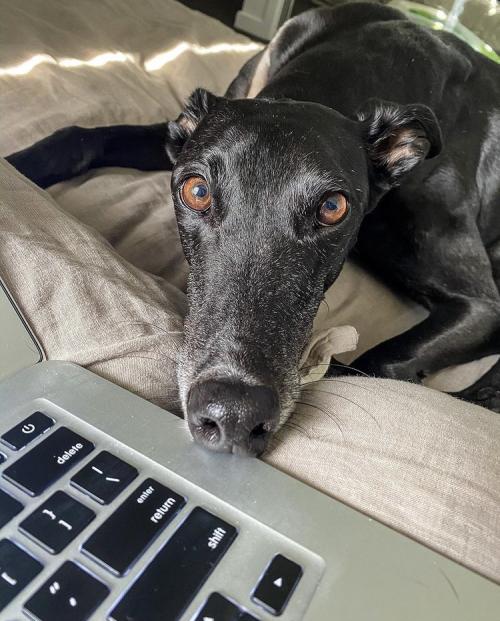 02:09:28 GMT+0100 (WAT).image