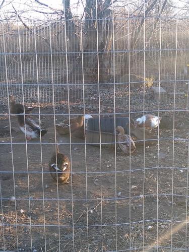 IMG_20201208_162356513