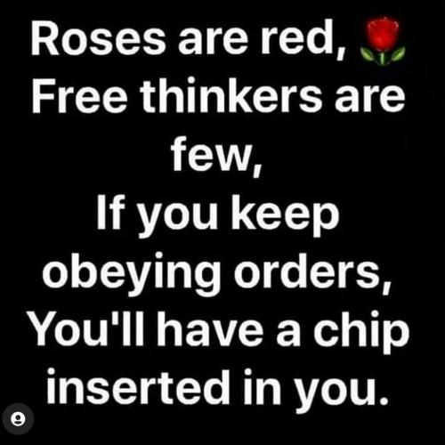 128356443_4845054492233368_5942611027808179905_o