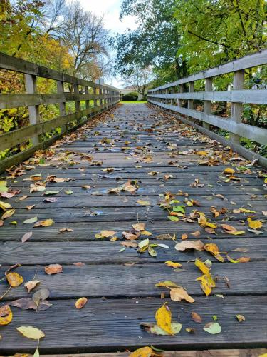 16:05:27 GMT-0800 (PST)