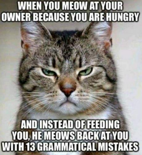 08:32:07 GMT-0600 (CST)