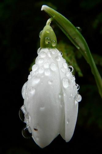 07:59:38 GMT-0600 (CST)