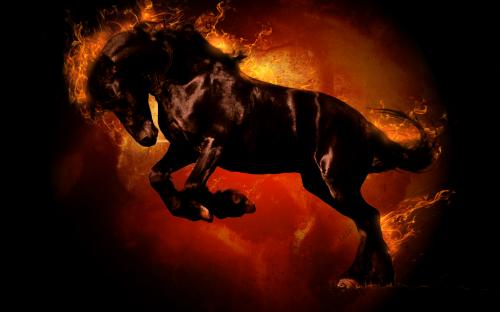 DarkHorseBG