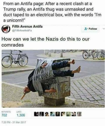 1141E4F1-F218-43AE-906E-1CF39CD2AE41-16679-00000D12553FA326