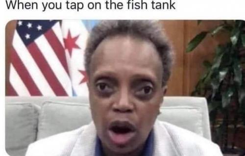 08:04:50 GMT-0500 (EST)