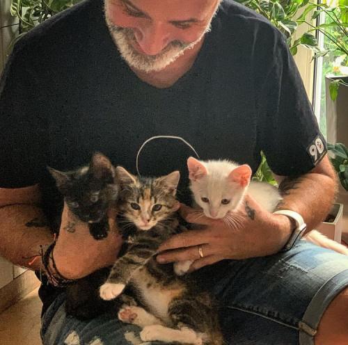 01:16:24 GMT+0100 (WAT).image