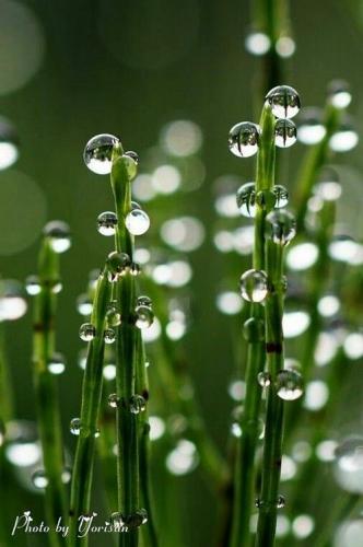 06:40:43 GMT-0600 (CST)