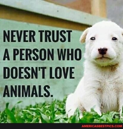 21:48:21 GMT-0600 (CST).image