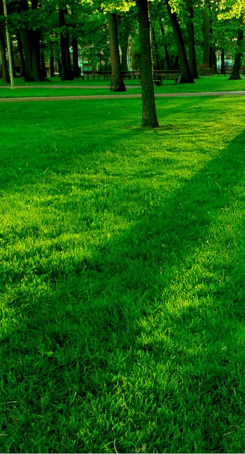 08:18:34 GMT+0100 (WAT)